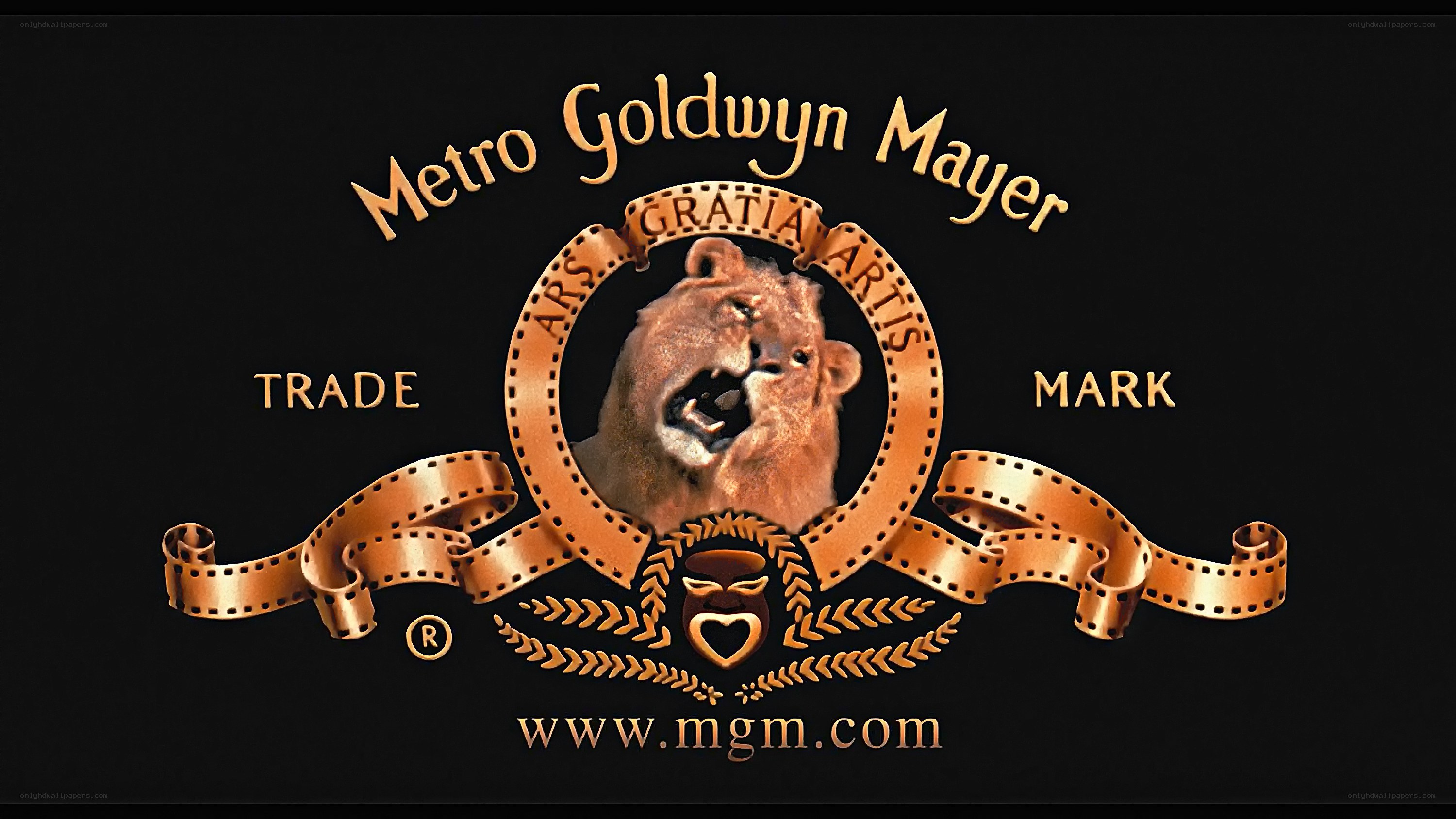 Metro Goldwyn Mayer logo