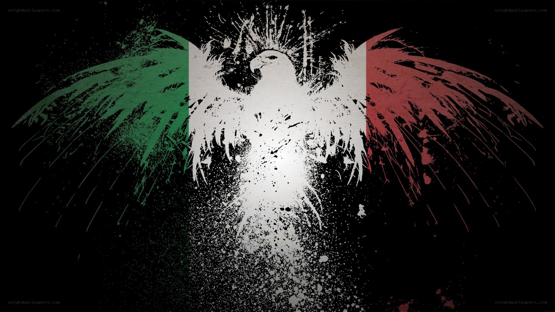 Mexican flag eagle art