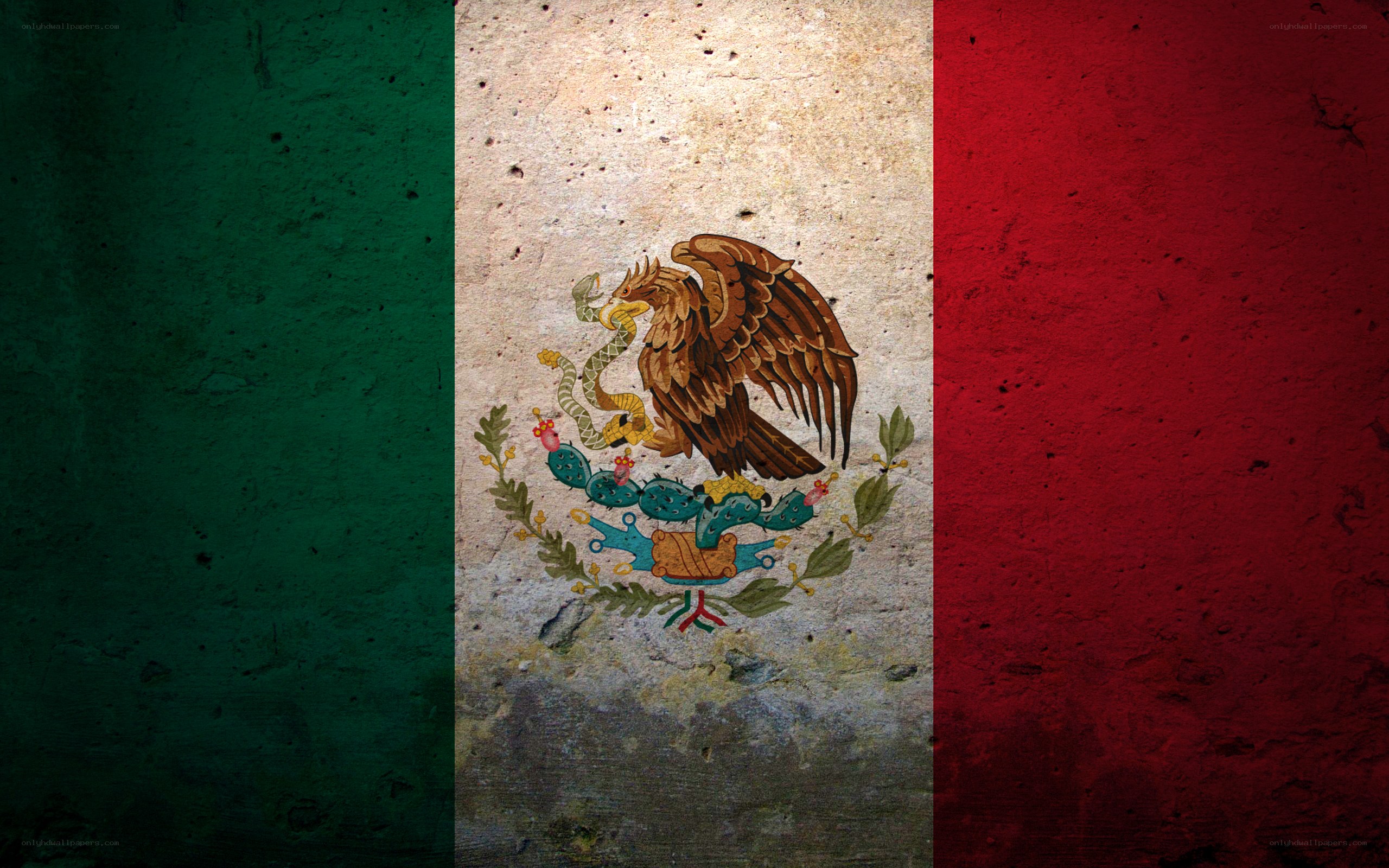Mexican flag on textured wall