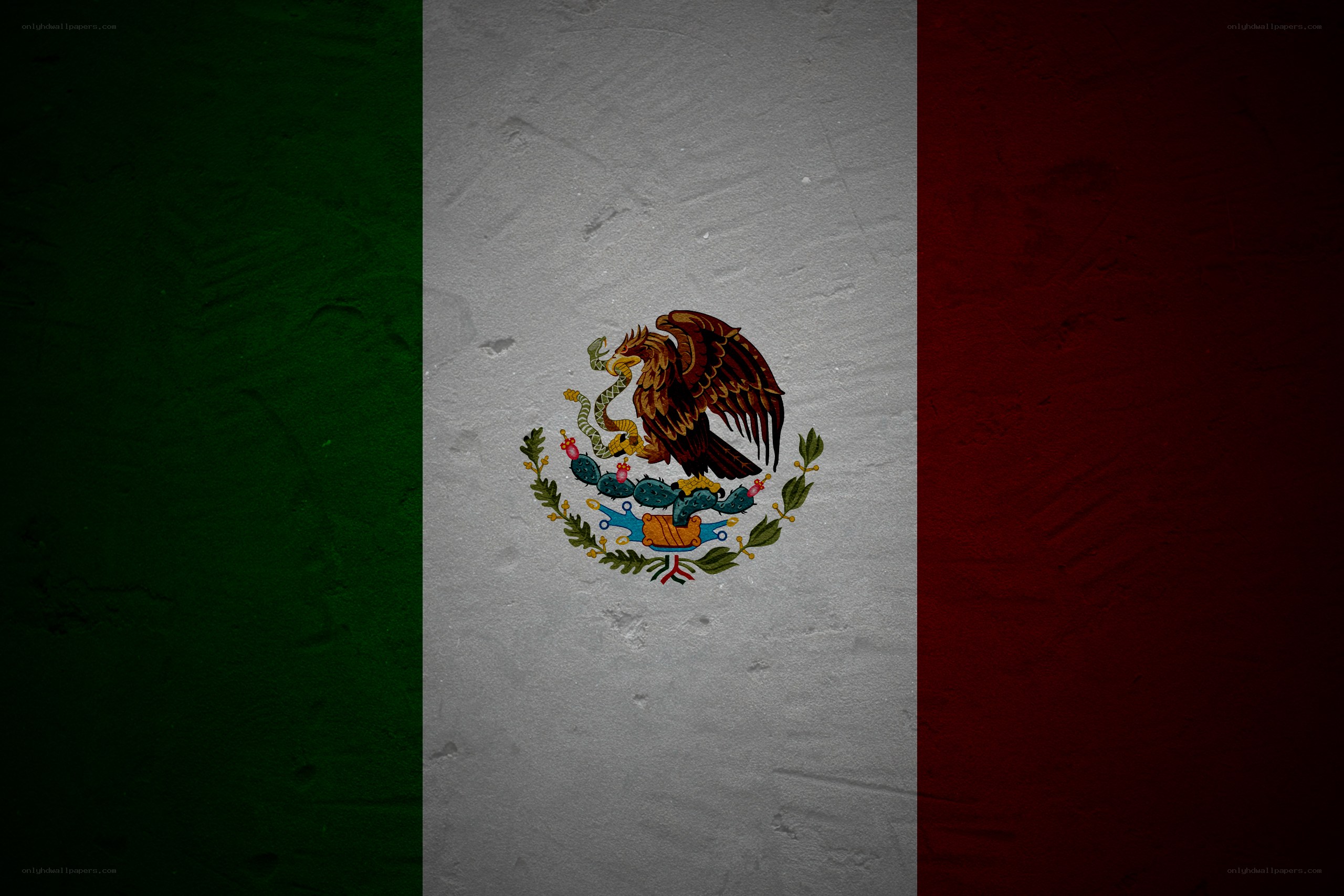Mexican flag on textured wall
