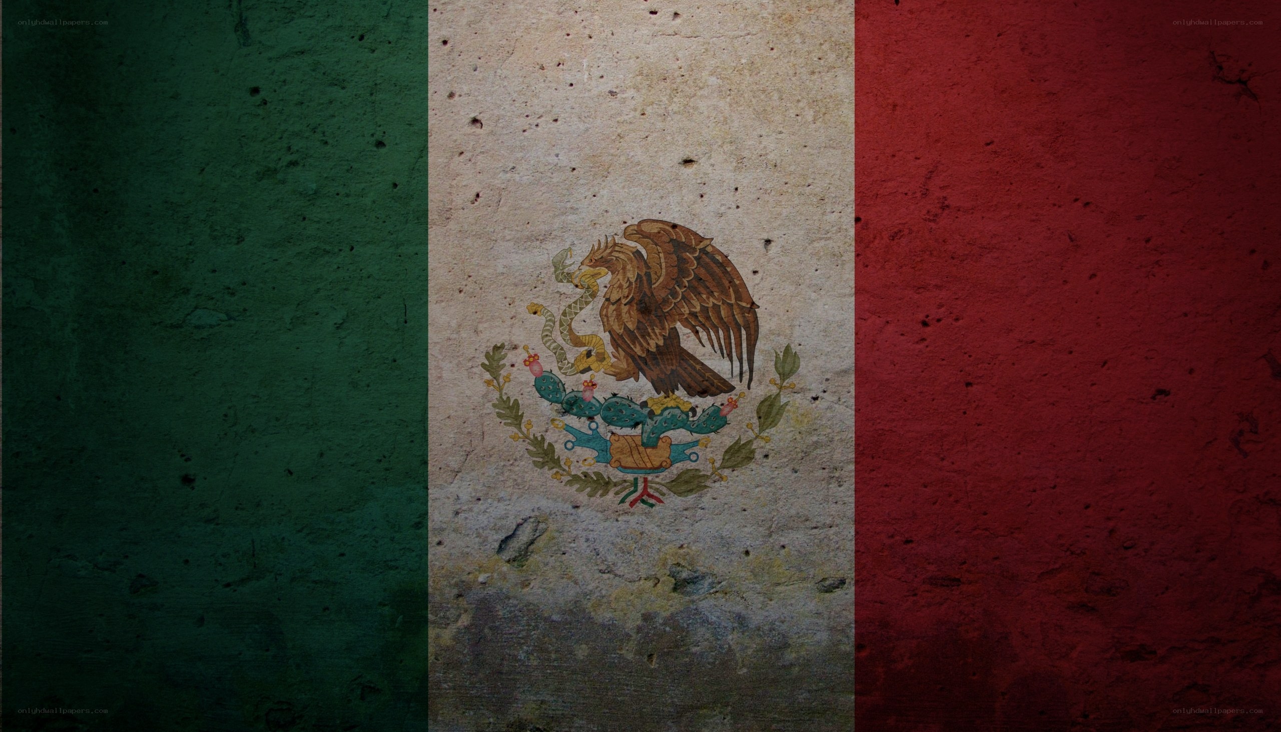 Mexican flag on textured wall