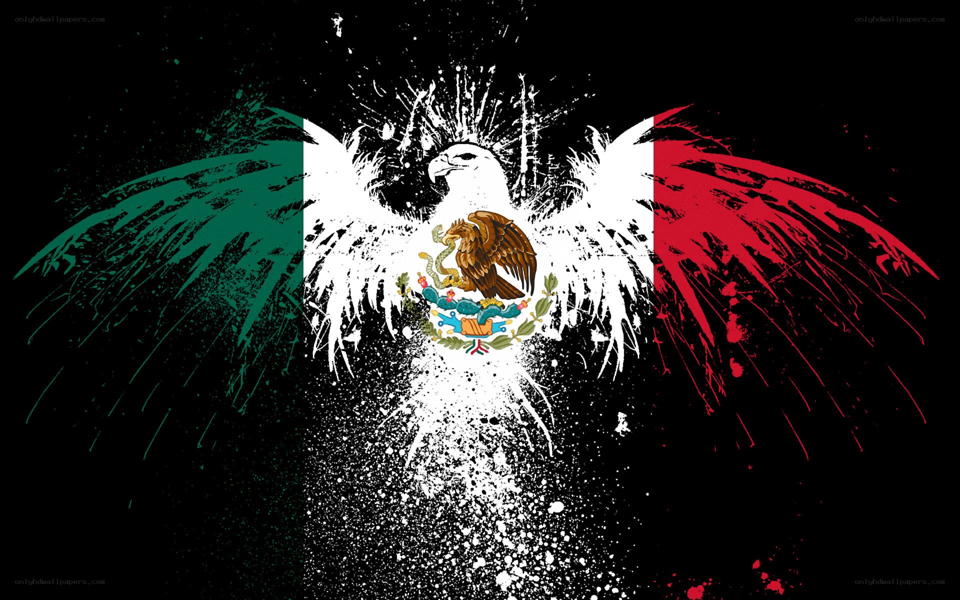 Mexican flag with eagle art