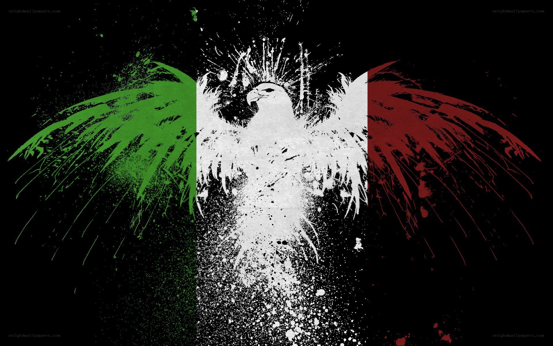 Mexican flag with eagle art