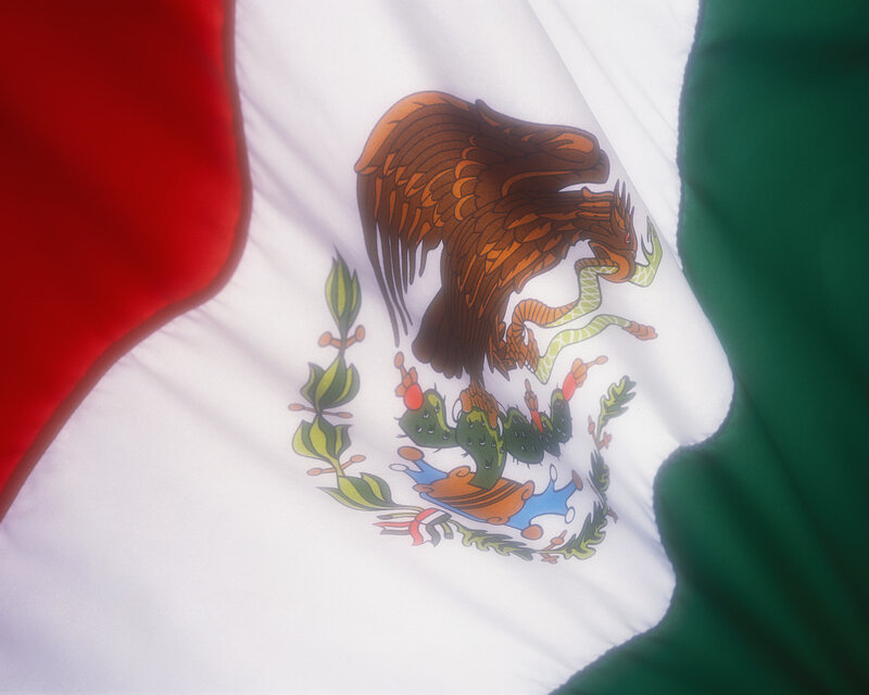 Mexican Flag with Eagle — White
