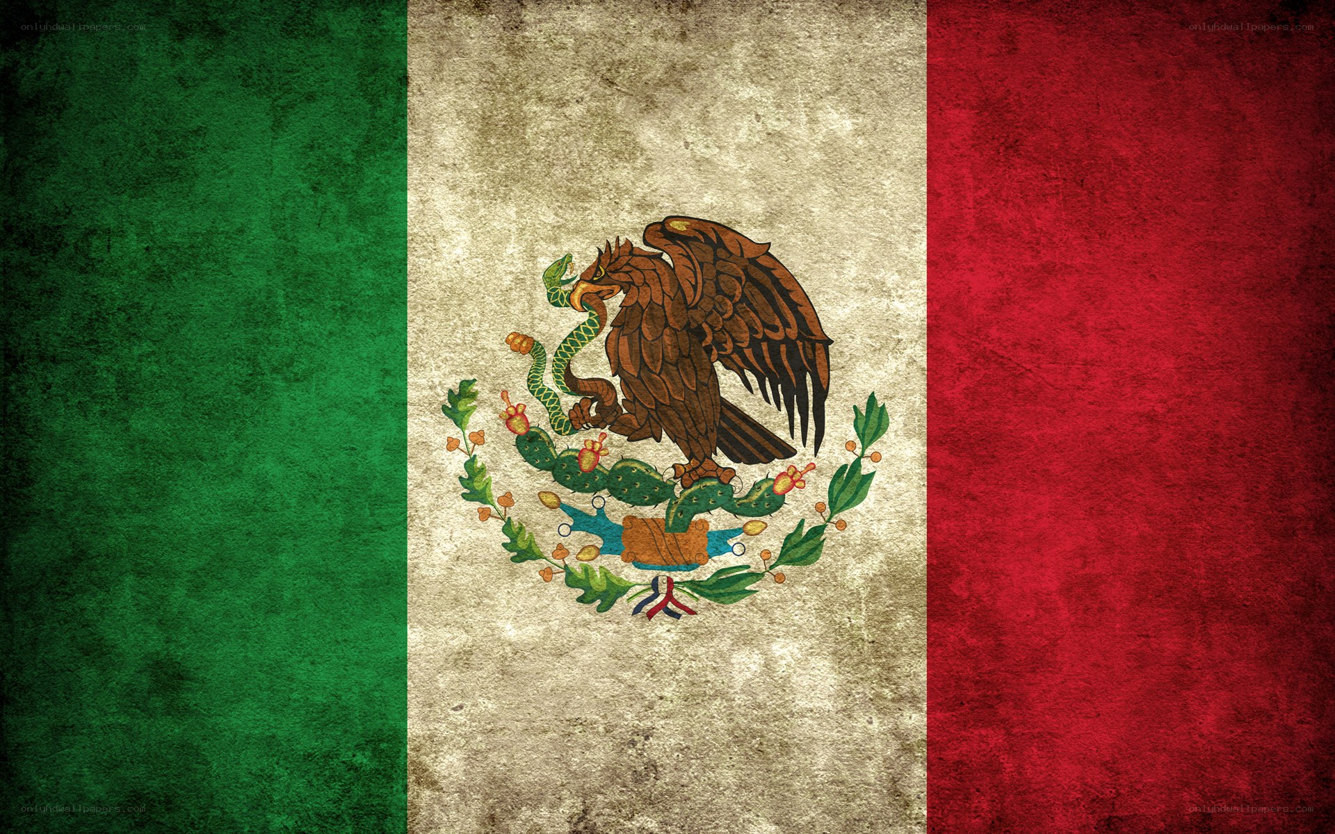 Mexican flag with grunge texture