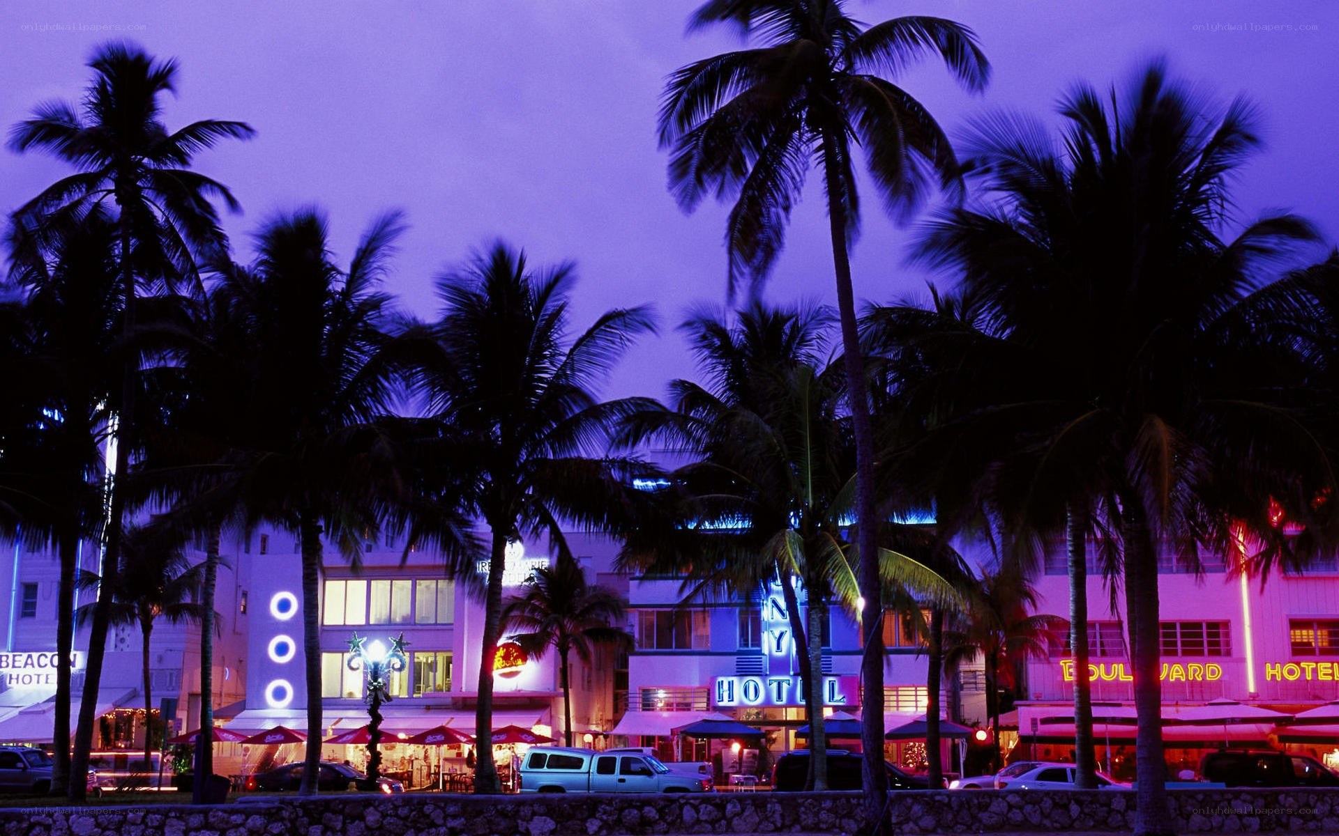 Miami Beach at night