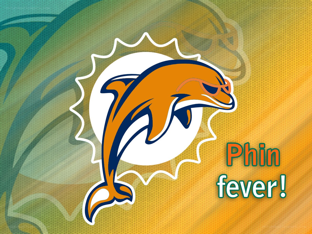 Miami Dolphins logo with text