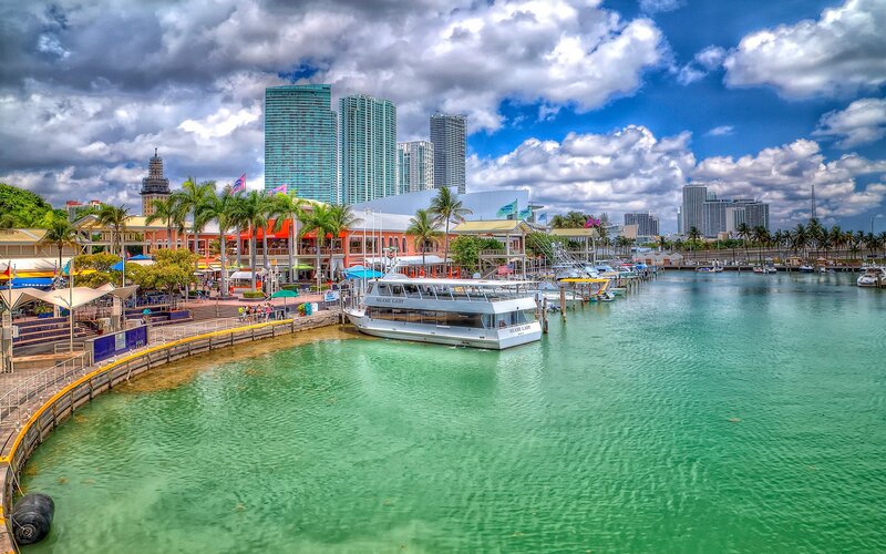 Miami Harbor Scene