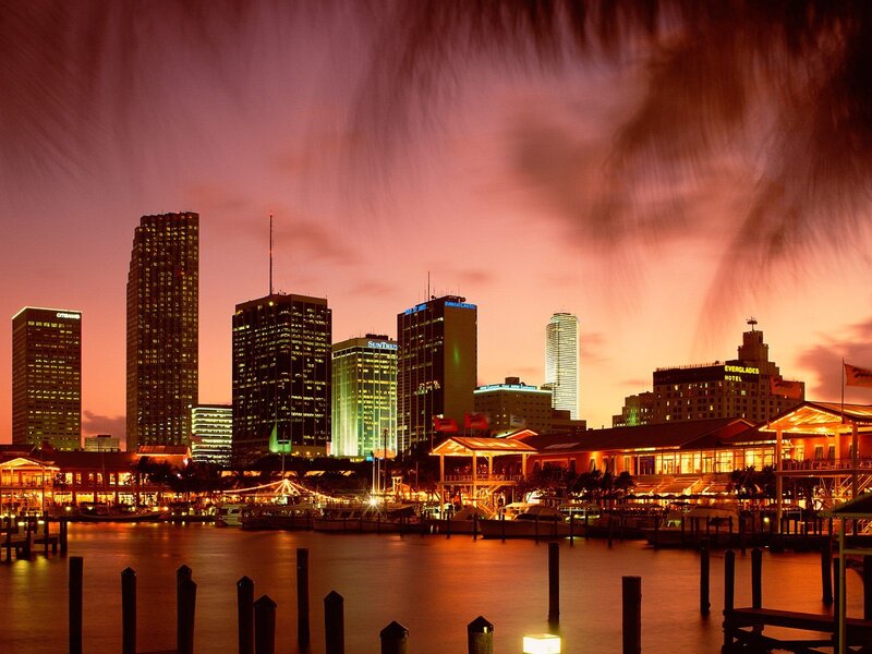 Miami Skyline at Dusk — Purple