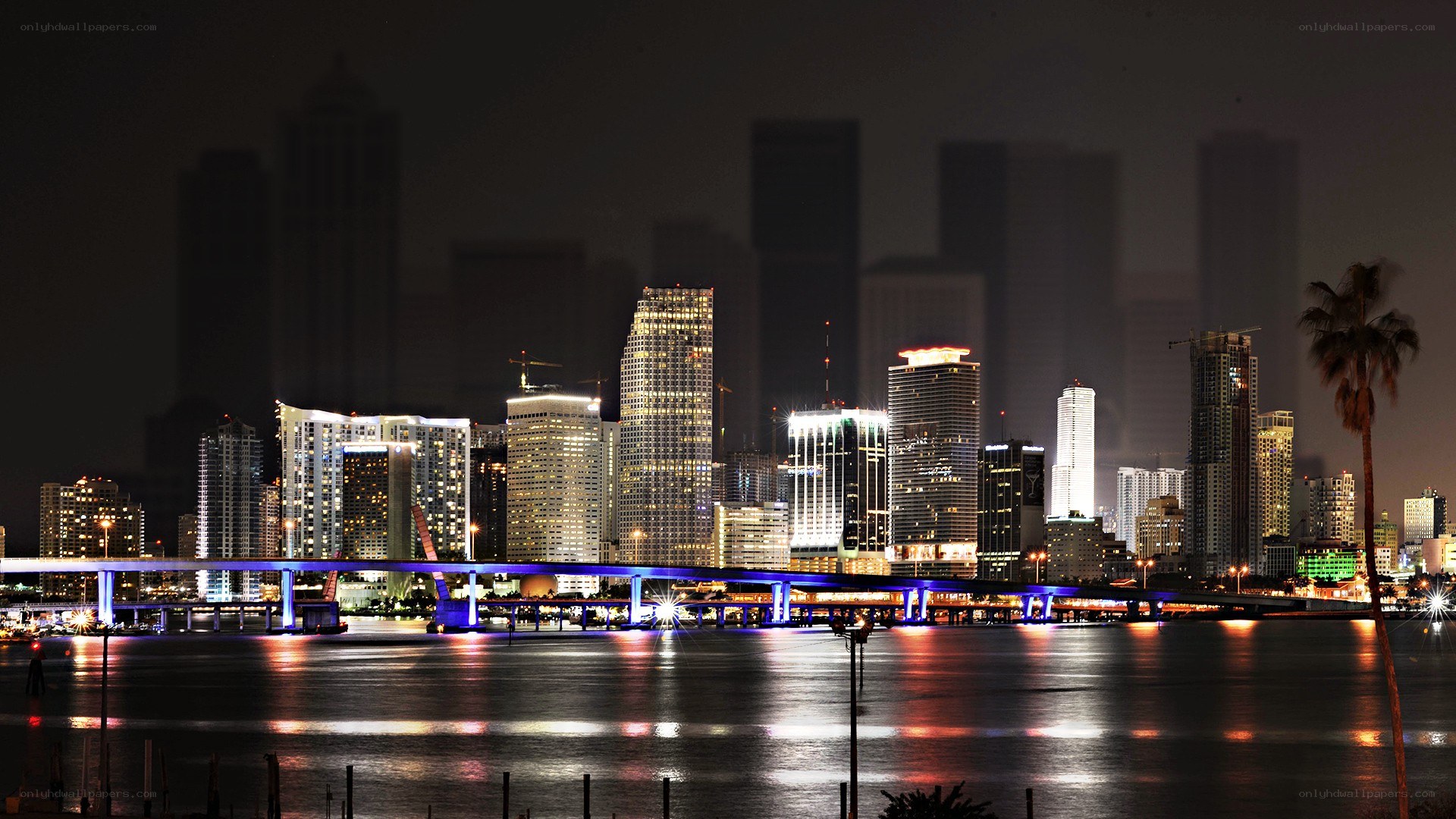 Miami skyline at night