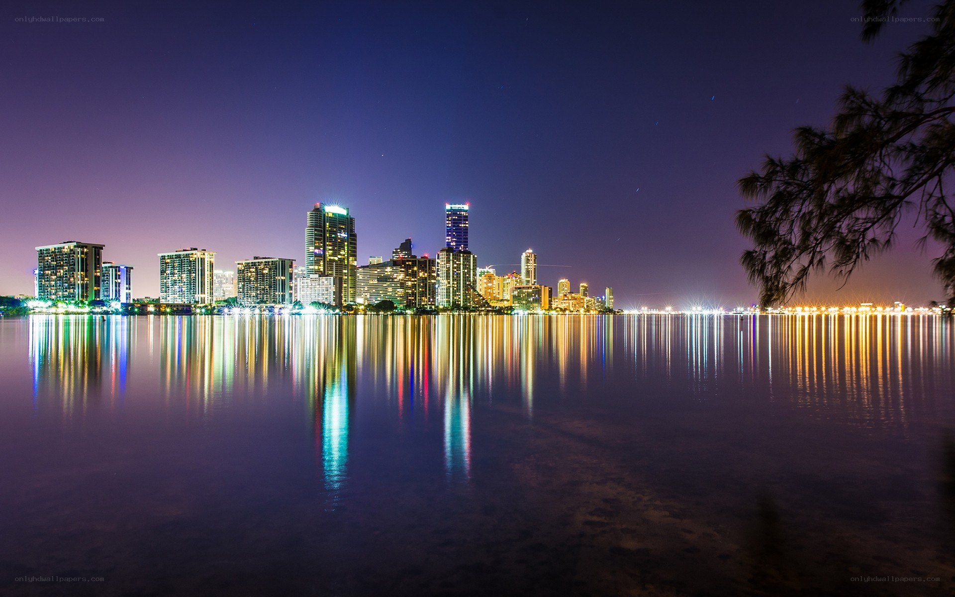 Miami skyline at night
