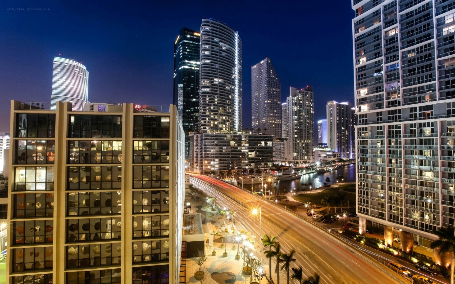 Miami skyline at night