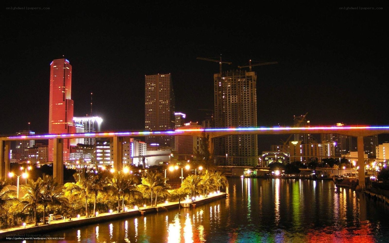 Miami skyline at night