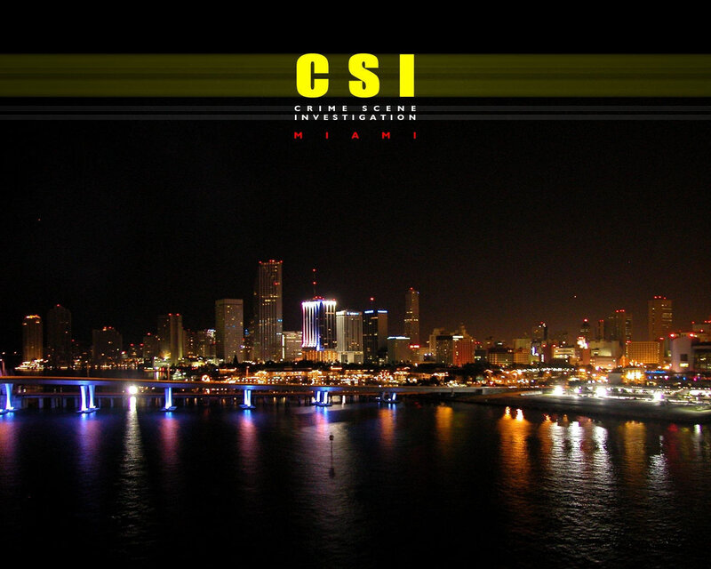 Miami Skyline at Night — Black