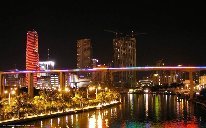 Miami Skyline at Night — Black, Urban
