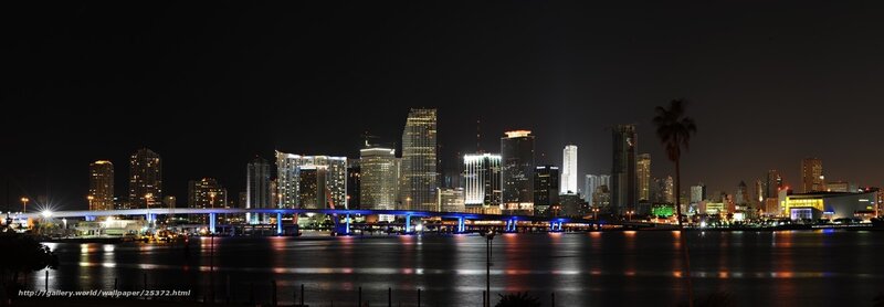 Miami skyline at night