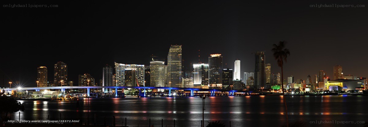 Miami skyline at night
