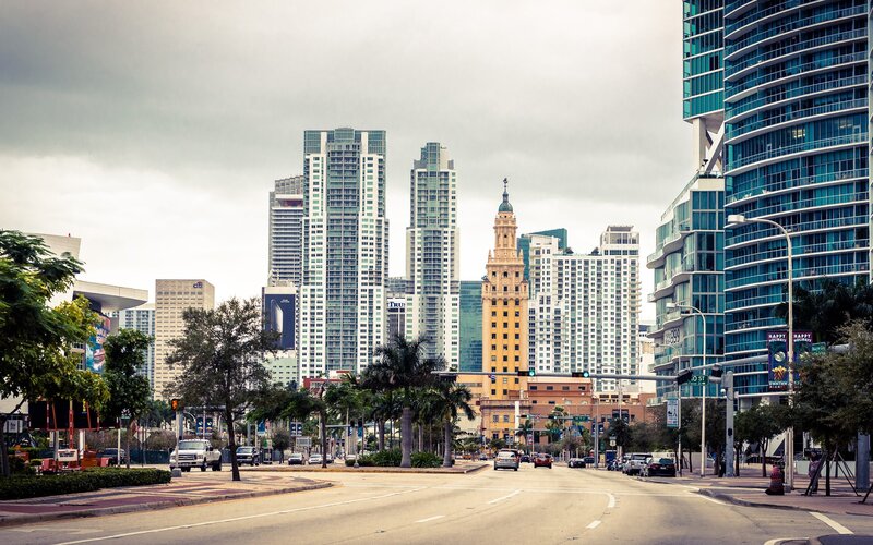 Miami Skyline View — Gray