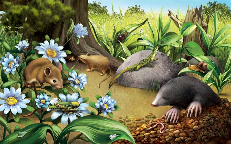 Mice and Mole in Garden