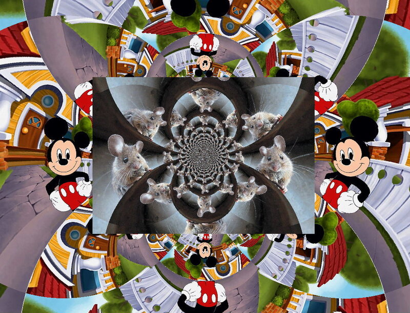 Mice in a Tunnel