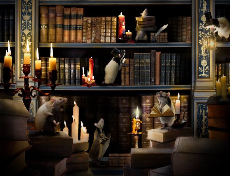 Mice in Library