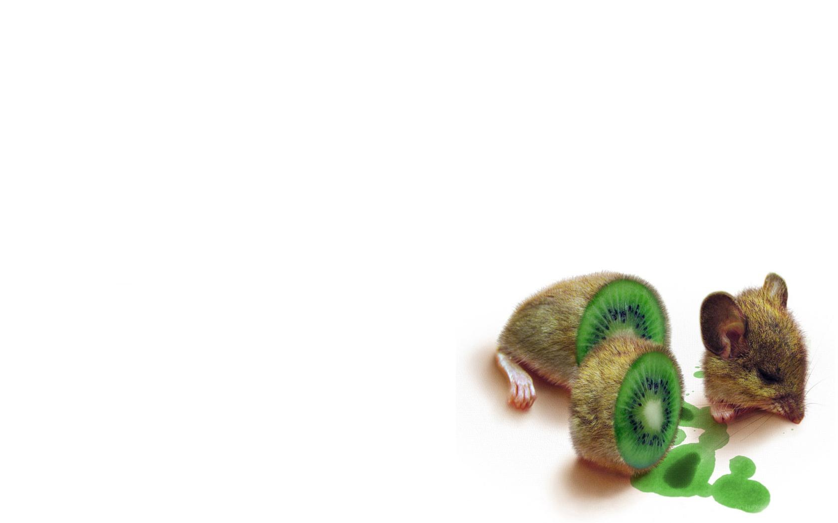 mice with kiwi slices