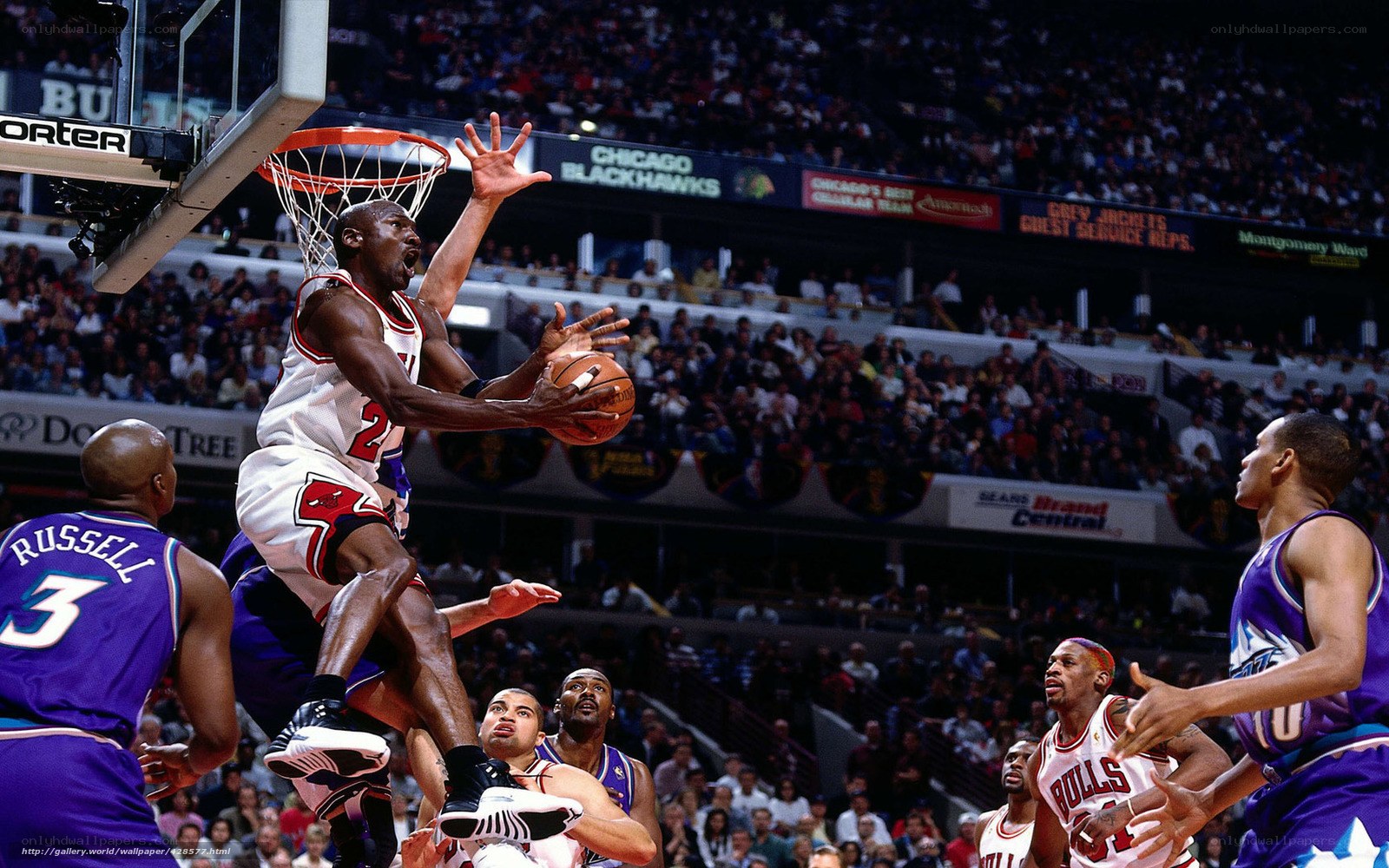 Michael Jordan dunks in game