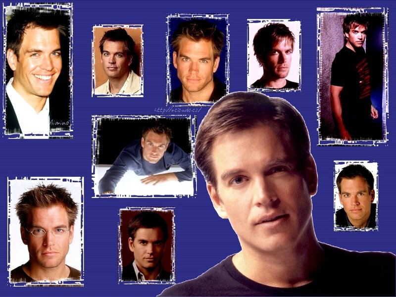 Michael Weatherly collage