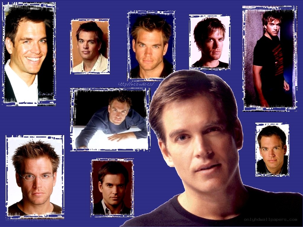 Michael Weatherly collage