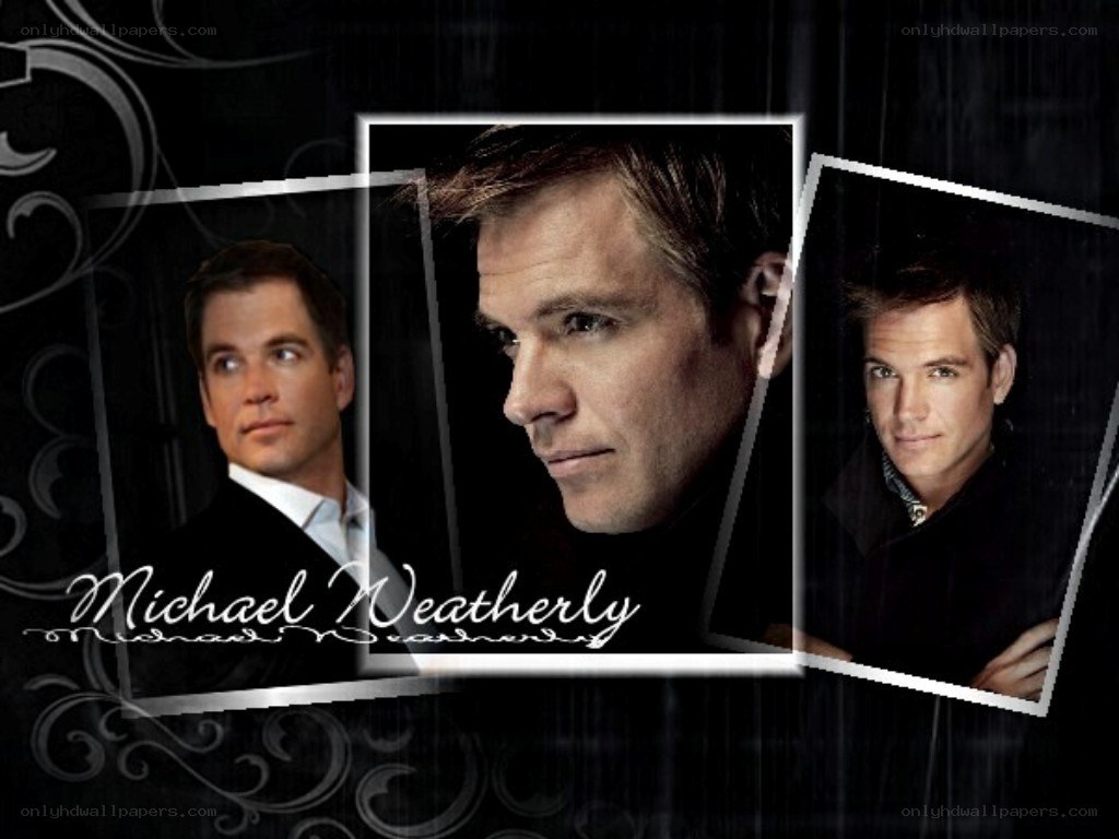 Michael Weatherly portrait collage