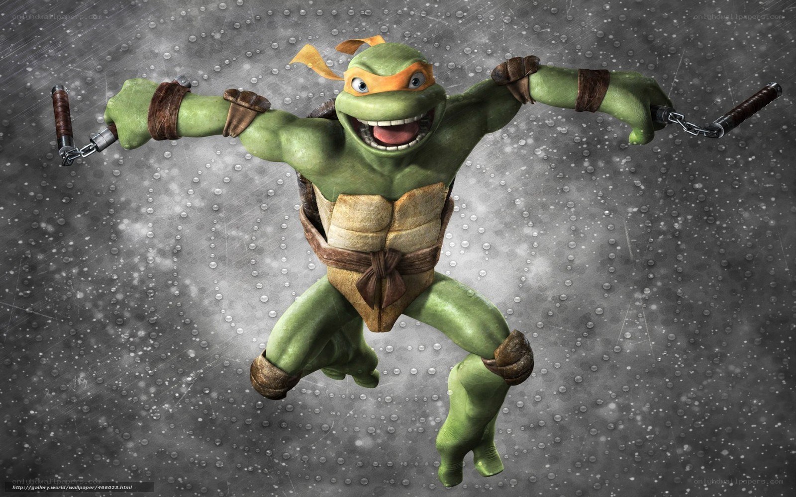 Michelangelo from Teenage Mutant Ninja Turtles