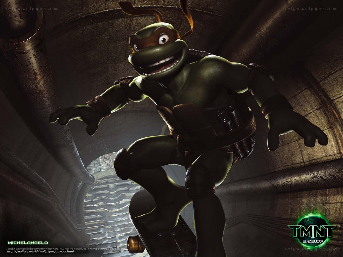 Michelangelo on a skateboard
