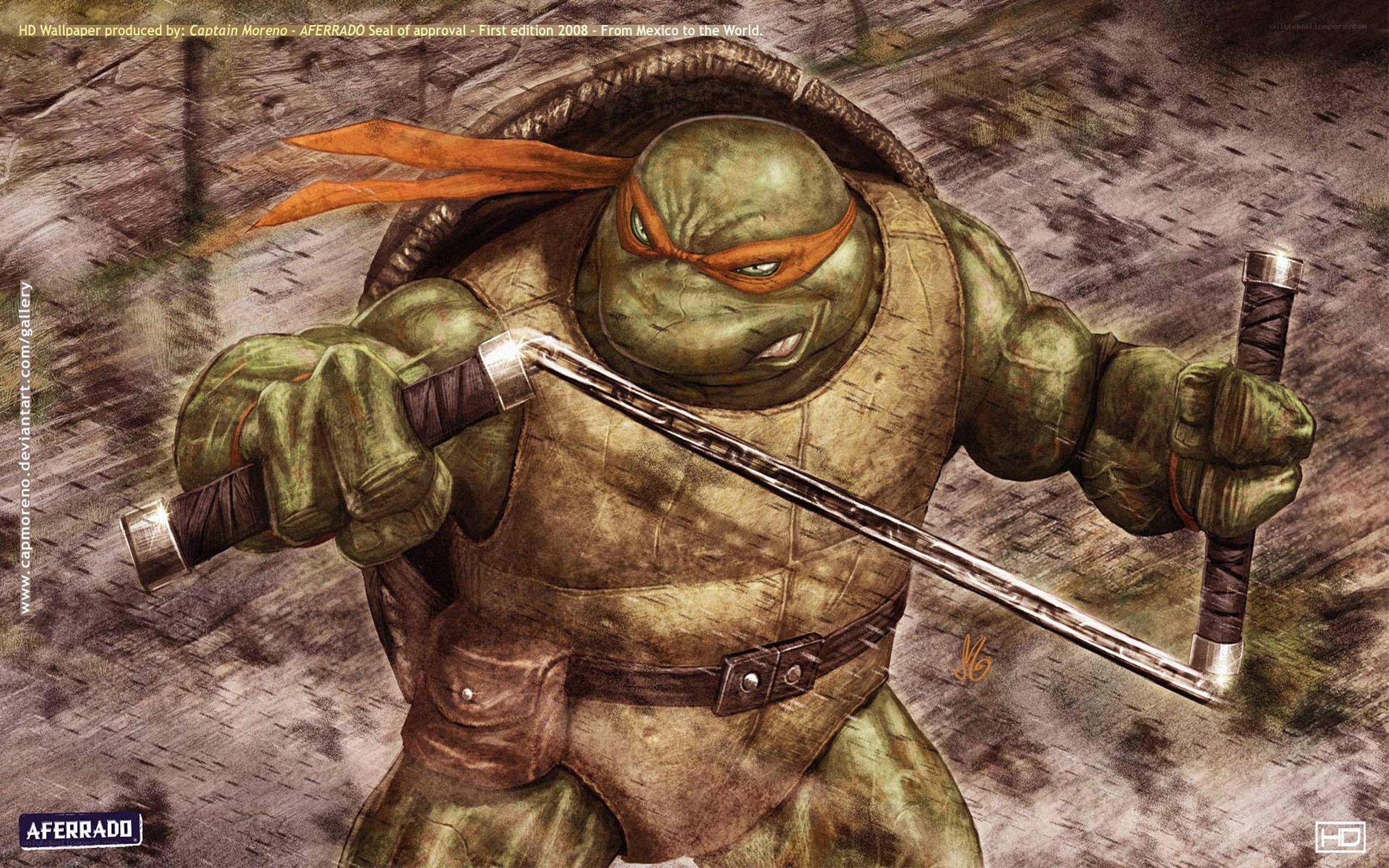 Michelangelo with nunchucks