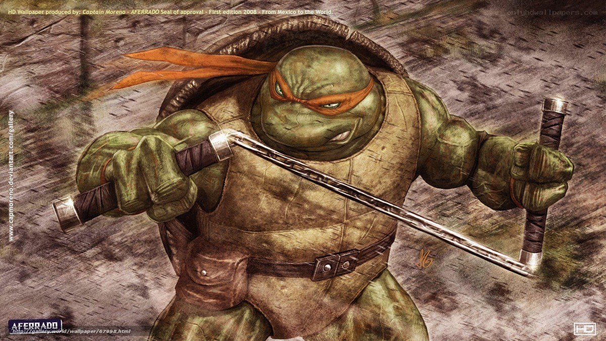 Michelangelo with nunchucks