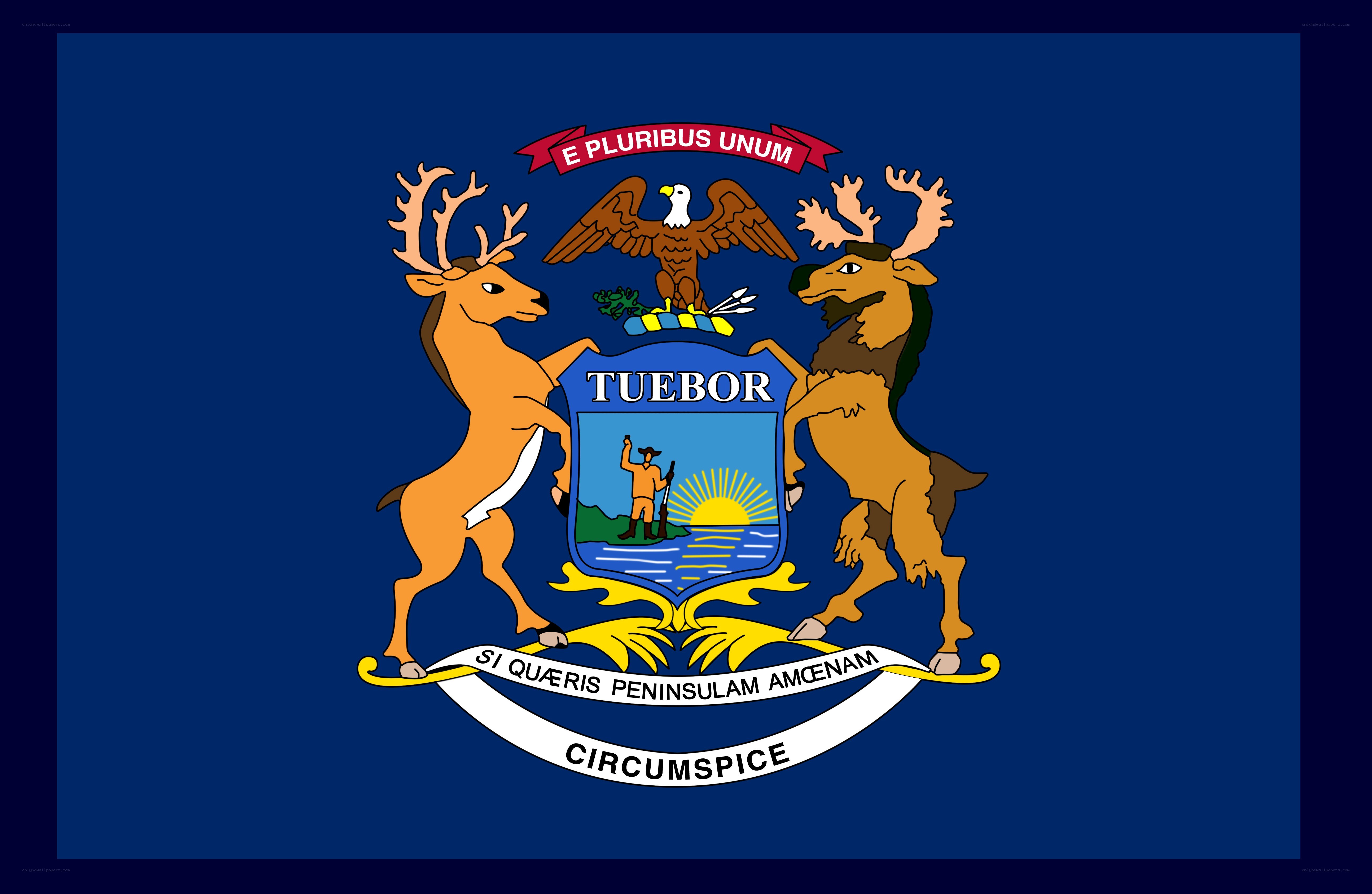 Michigan state flag