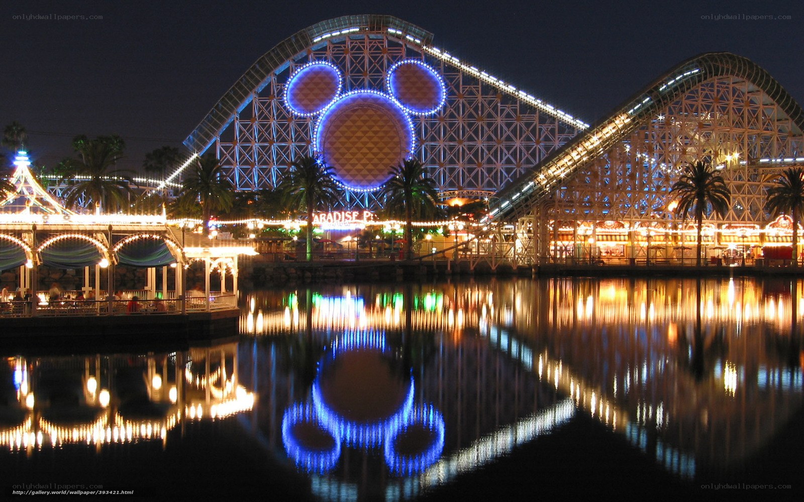 Mickey Mouse roller coaster at night