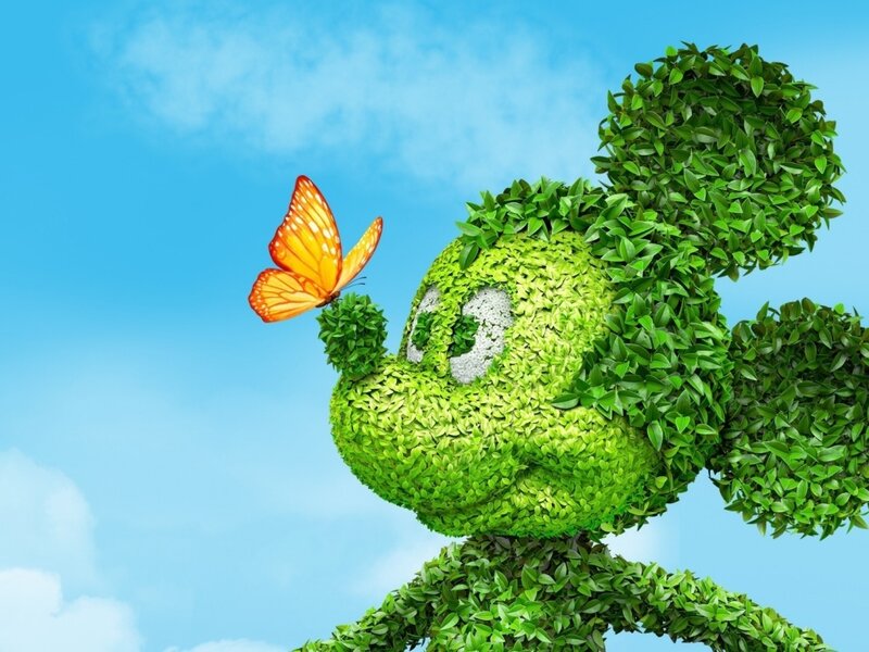 Mickey Mouse Topiary