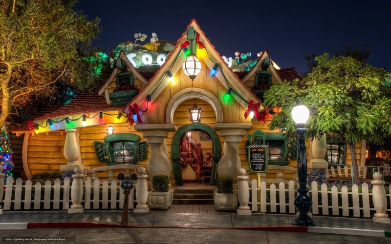 Mickey's Toontown house at night