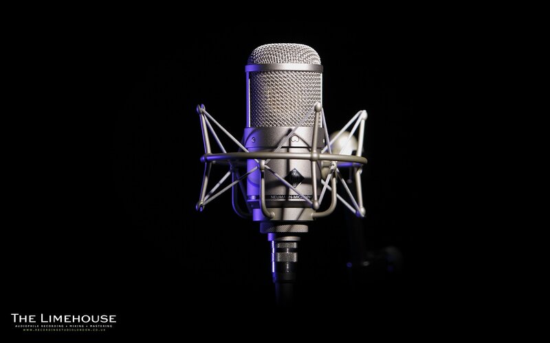Microphone in Shock Mount