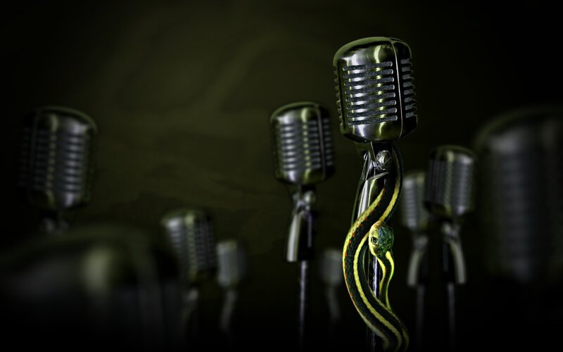 Microphones with a snake