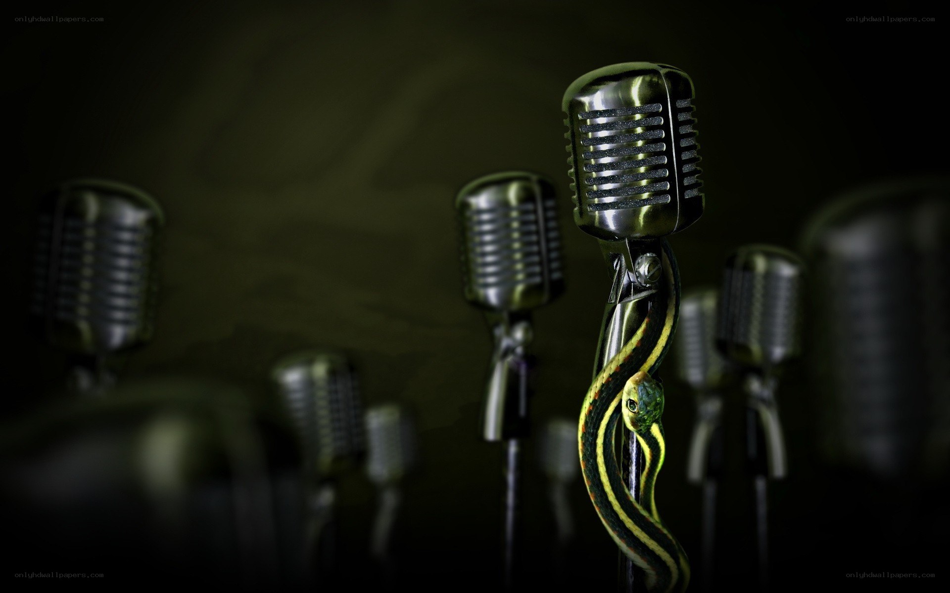 Microphones with a snake