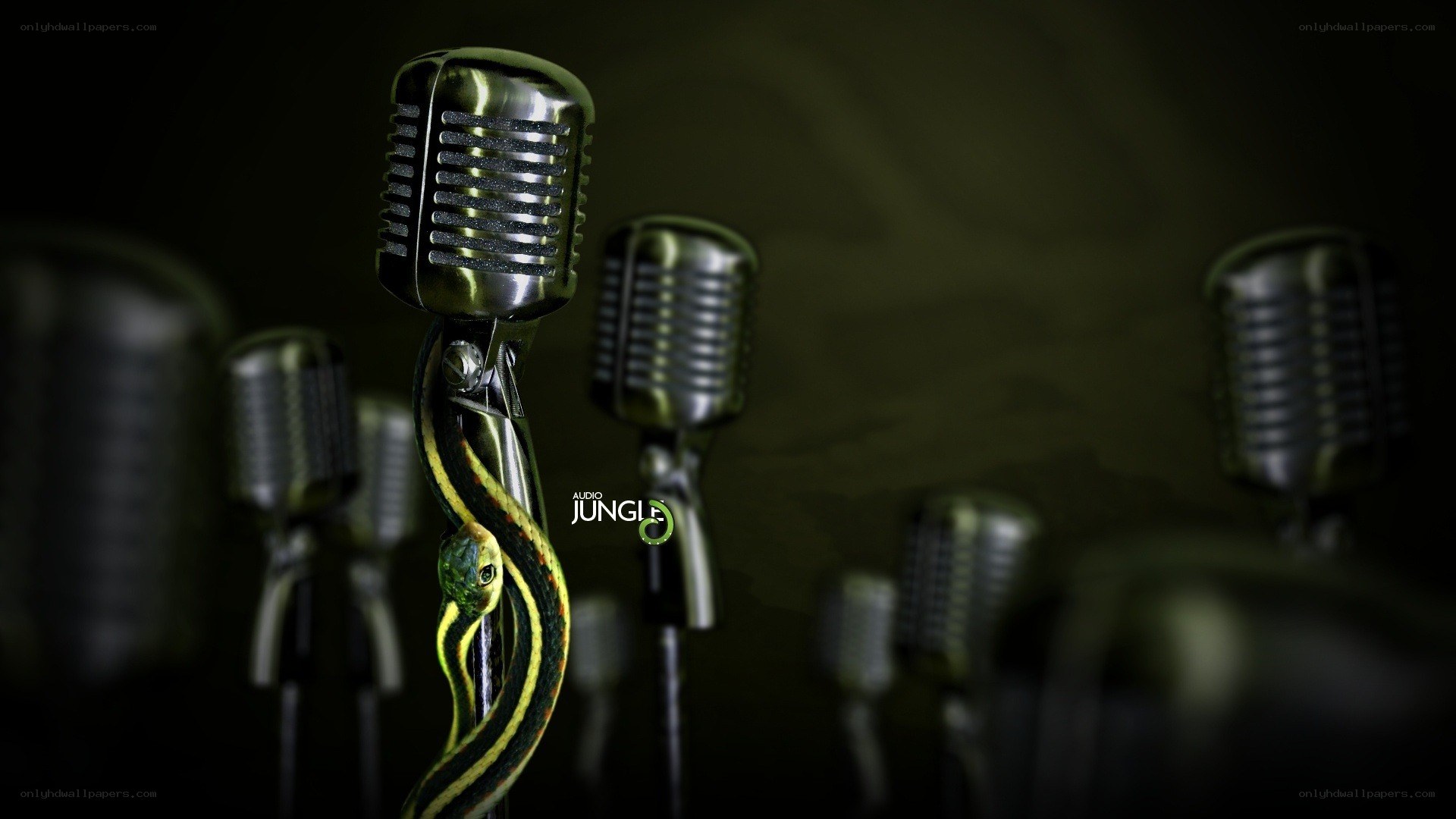 Microphones with a snake