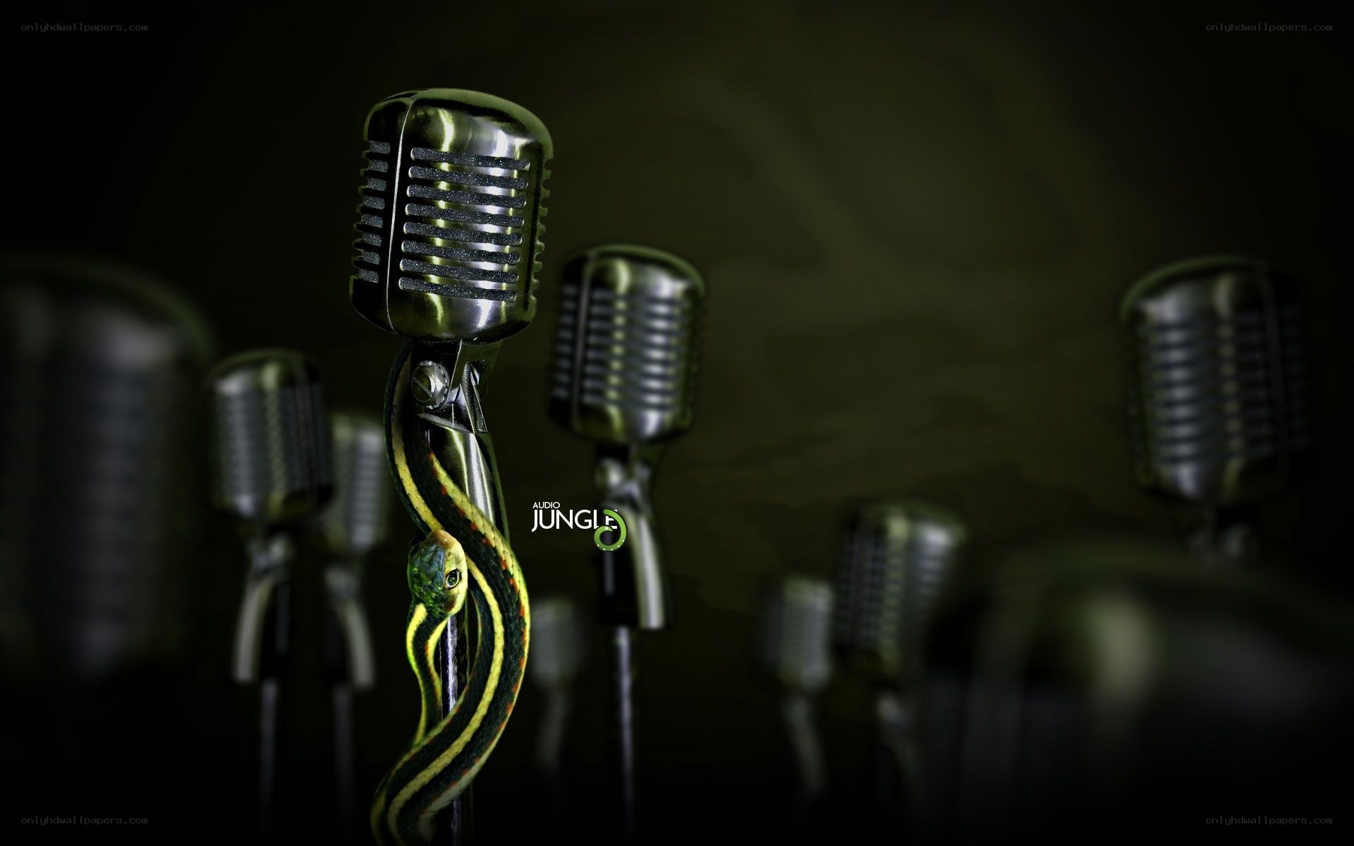 Microphones with a snake