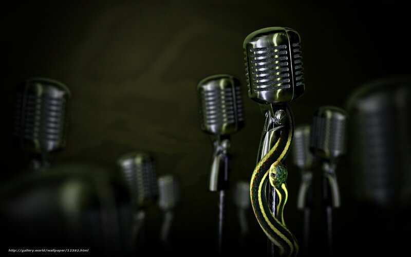 Microphones with a snake