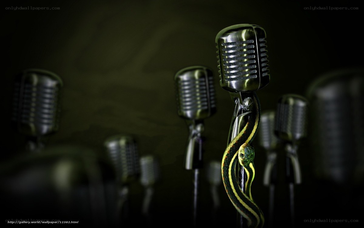 Microphones with a snake