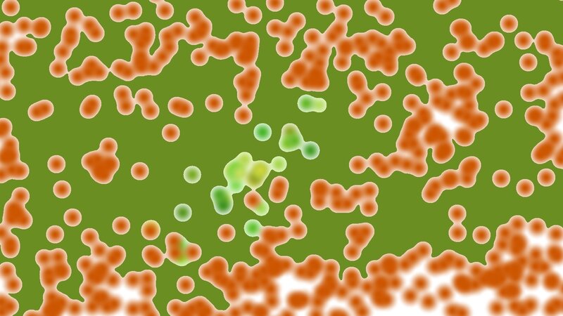 microscopic bacteria colony