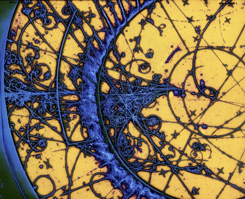 Microscopic Bacteria Culture