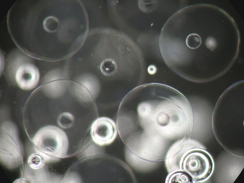 microscopic bubbles under lens