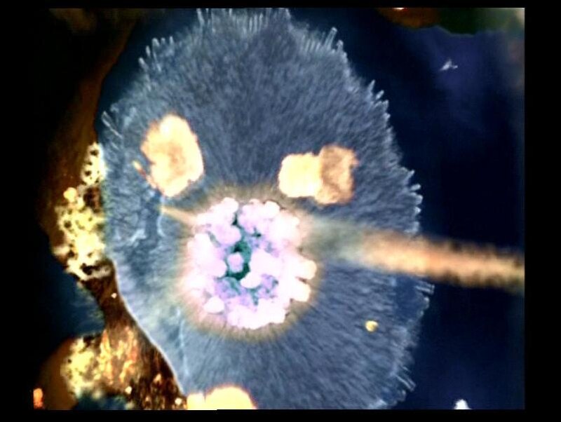 Microscopic Cell Structure — Blue, Scientific, Photograph