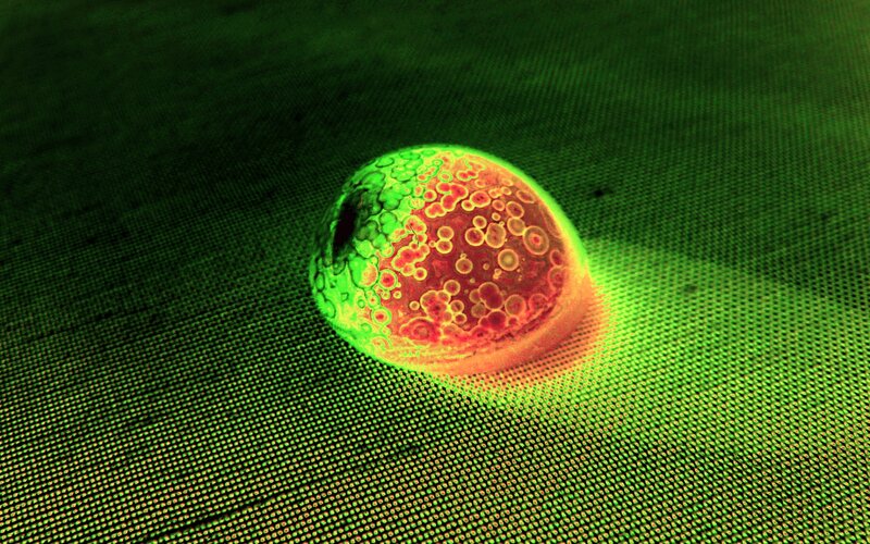 Microscopic Cell Structure — Green